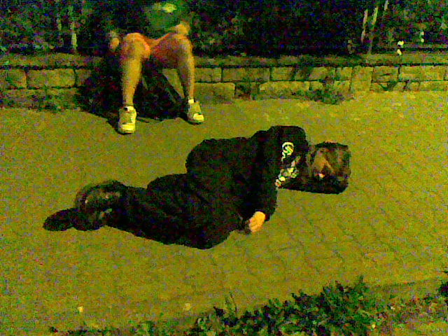 dobrou noc